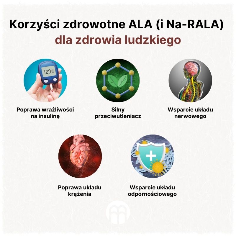 (Polština) Přínosy ALA (a Na-RALA) pro lidské zdraví